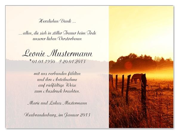 trauerkarten-danksagung-sonne-17