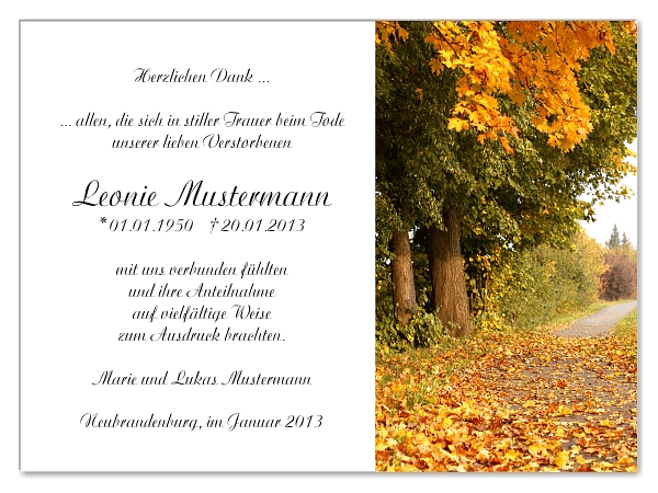 trauerkarten-danksagung-wald-18