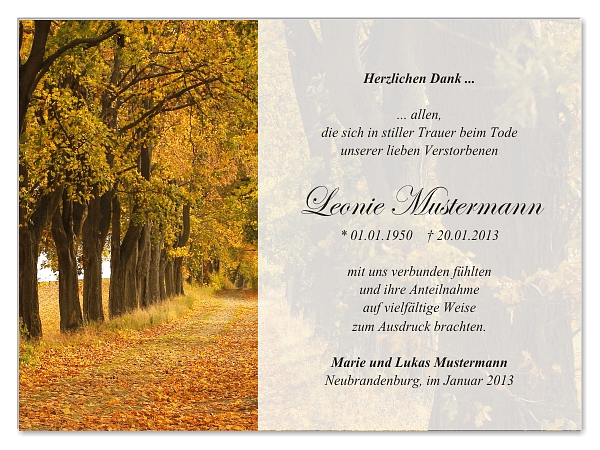 trauerkarten-danksagung-wald-19