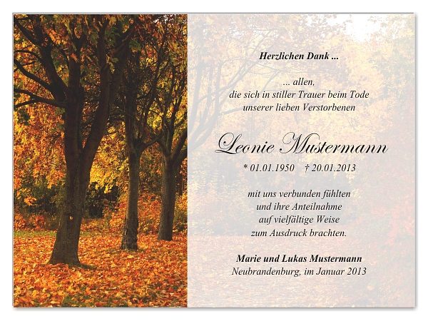 trauerkarten-danksagung-wald-26